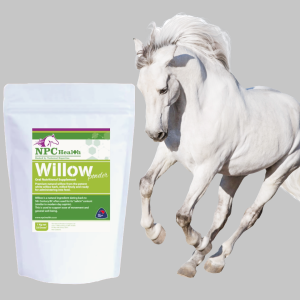 Willow Powder For Horses In New Zealand Providing Natural Relief And Movement Ease.