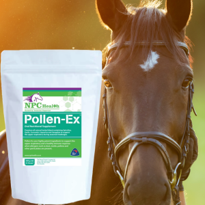 pollen supplement for horses.