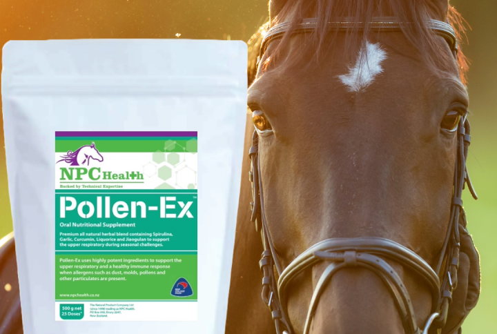 Allergy supplement for horses.