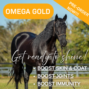 Get ready to shine with the best omega oil for horses.