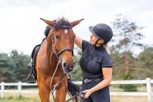 Pollen supplement relief for horses.