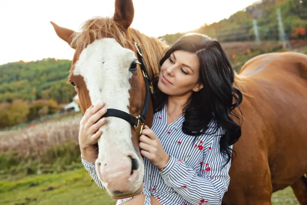 Horse health checks for ultimate care and a happy, healthy horse.
