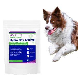 Joint supplement for dogs with green lipped mussel.