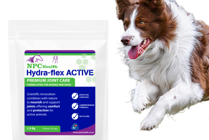 Joint supplement for dogs with green lipped mussel.