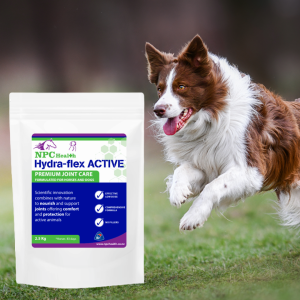 Healthy joint care for dogs.