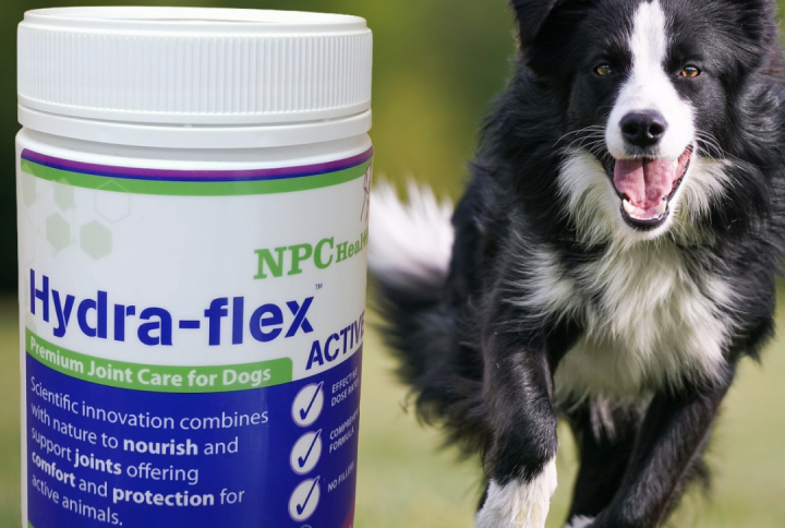 Joint supplements for dogs to remain active and healthy, made in New Zealand.