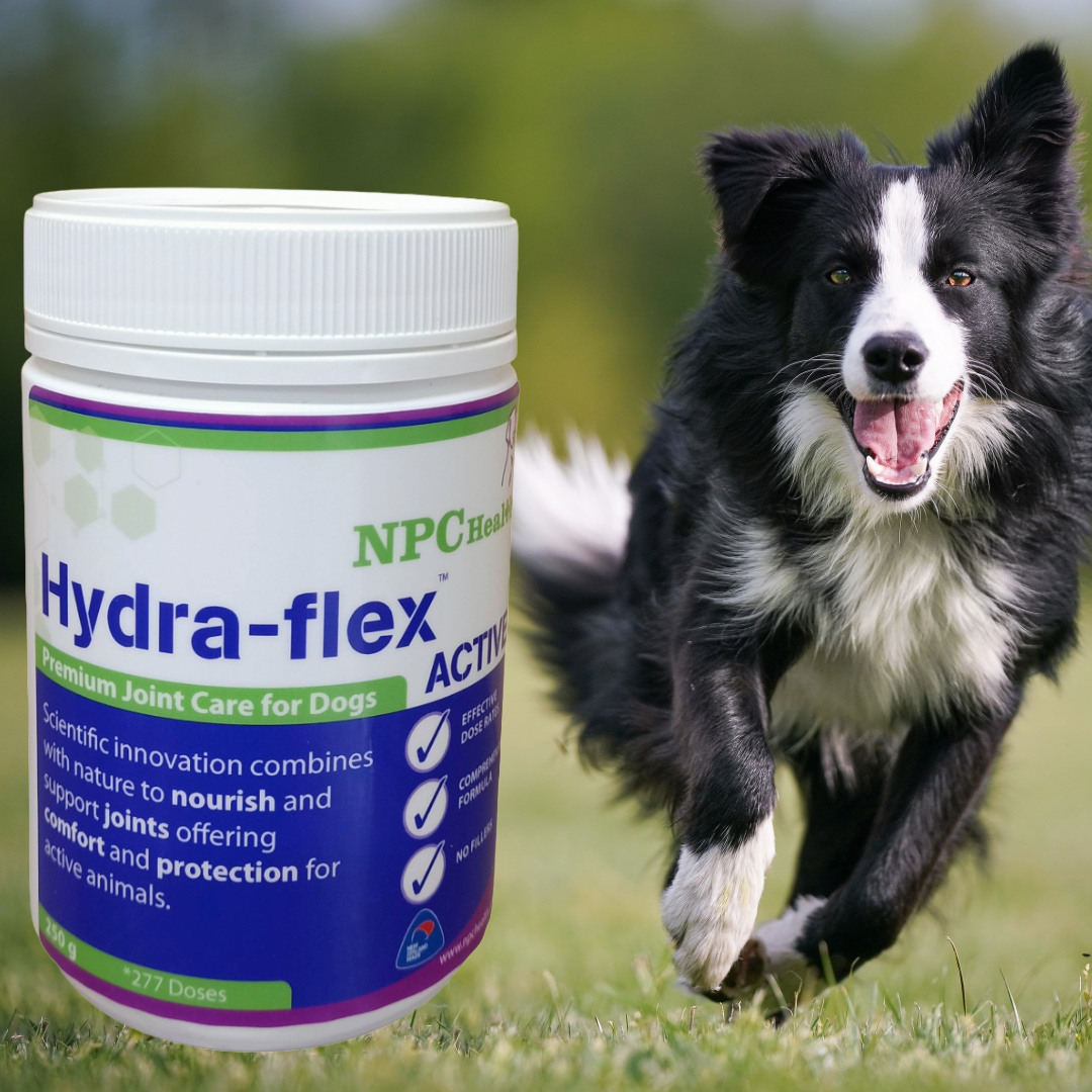 High quality canine joint care.