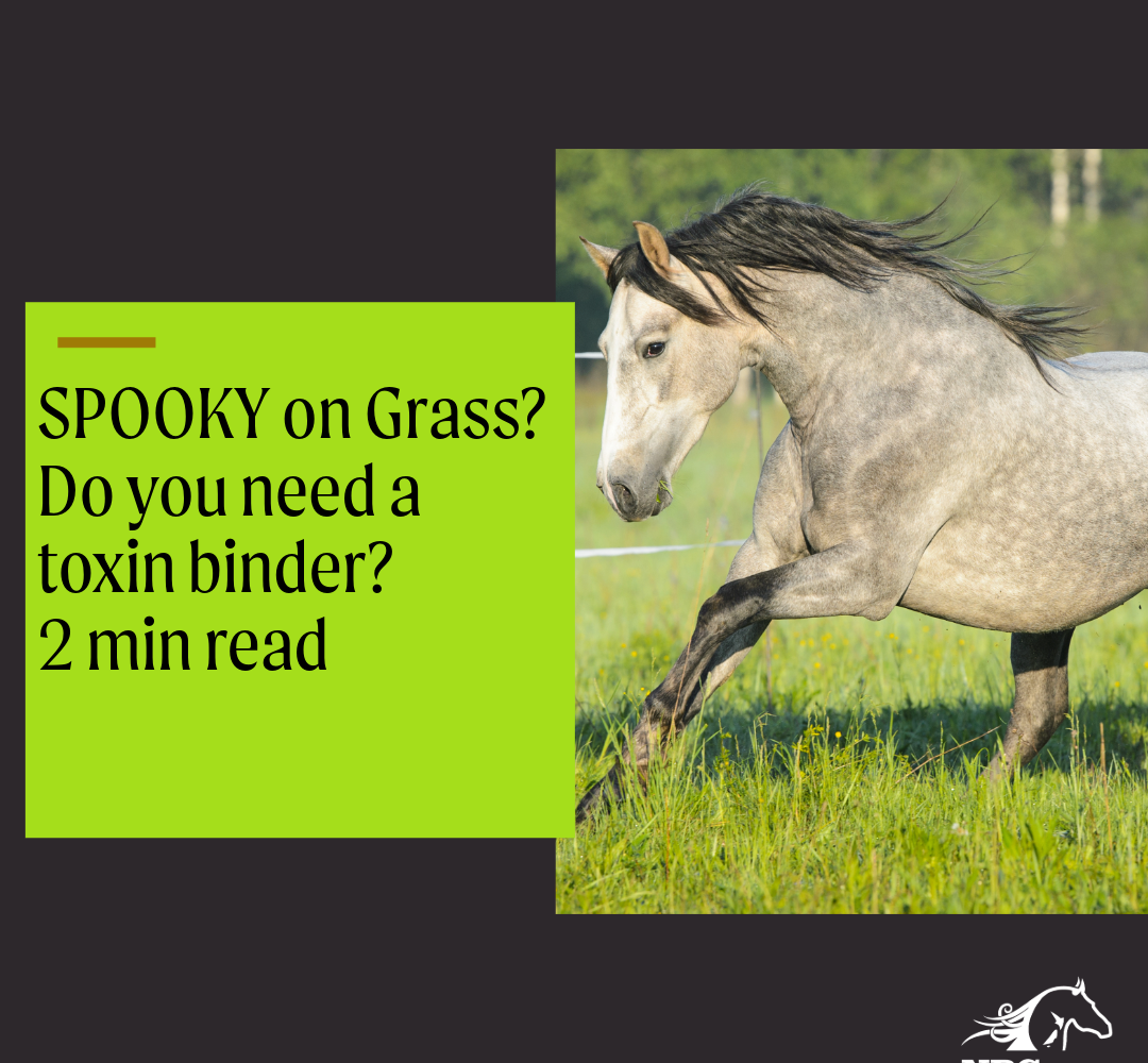 Mycotoxin binders for horses to lessen and control the impact of mycotoxins in pasture and feed resulting in poor behaviour, such as spooking or nervousness.