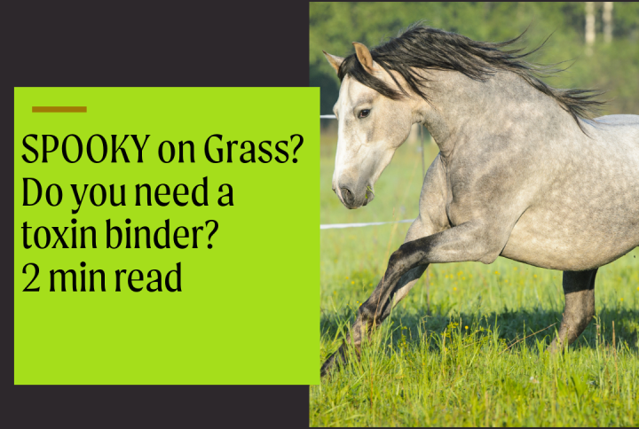 Mycotoxin binders for horses to lessen and control the impact of mycotoxins in pasture and feed resulting in poor behaviour, such as spooking or nervousness.
