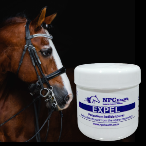 Expel Airway Supplement For Horses To Clear Congestion And Allow For Easier Breathing.