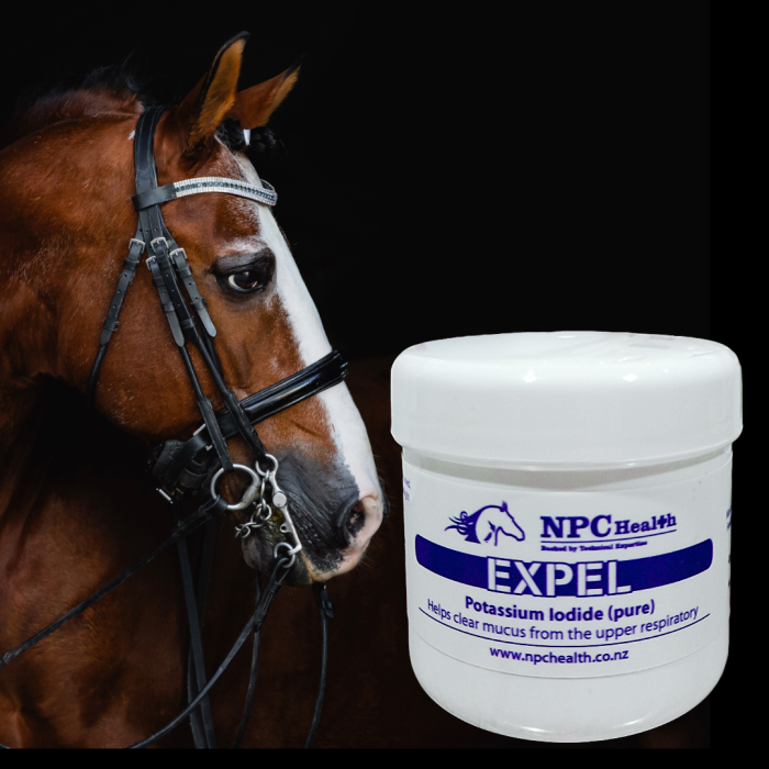 Expel | Airway Supplement For Horses