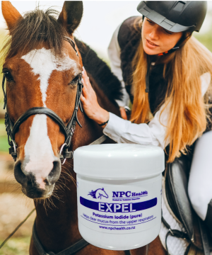 Expel for horse airways to help clear mucous.