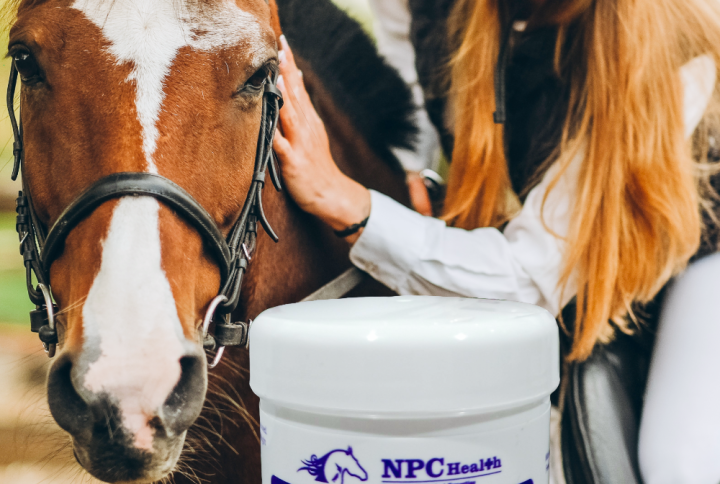 Expel for horse airways to help clear mucous.