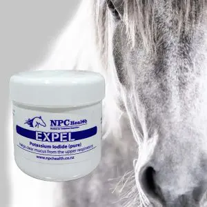 Expel Airway Supplement For Horses To Support The Upper Respiratory Tract And Clear The Nasal Passage Of Mucus.