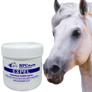 Airway supplement for horses with powerful and effective expectorant properties to clear congestion.