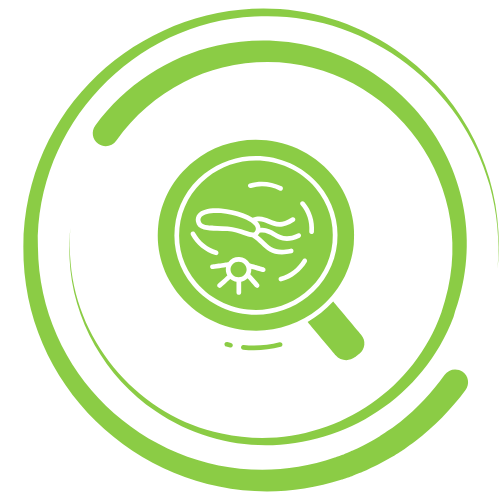 gut-and-digestive-health