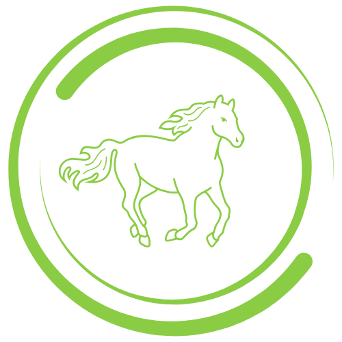 Horse Care Supplies