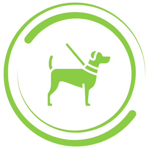 Dog Supplements