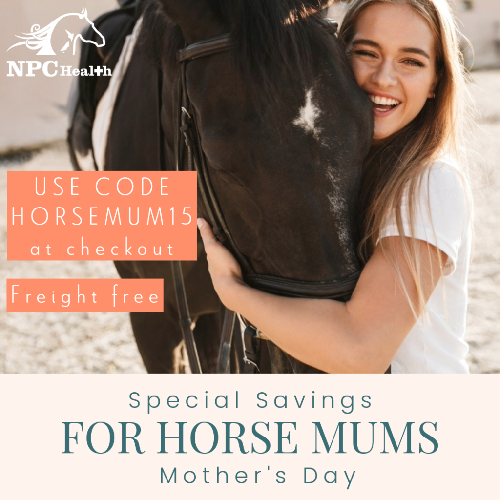 Mothers day special for all horse mums with great savings and free freight New Zealand wide.