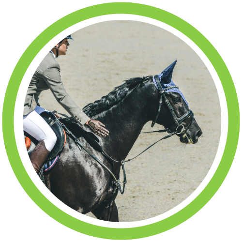 equine-electrolytes