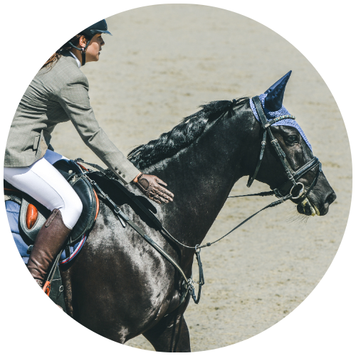 equine-electrolytes