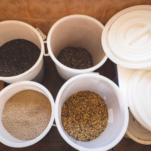 Herbs for horses | 3 top features of Devils claw