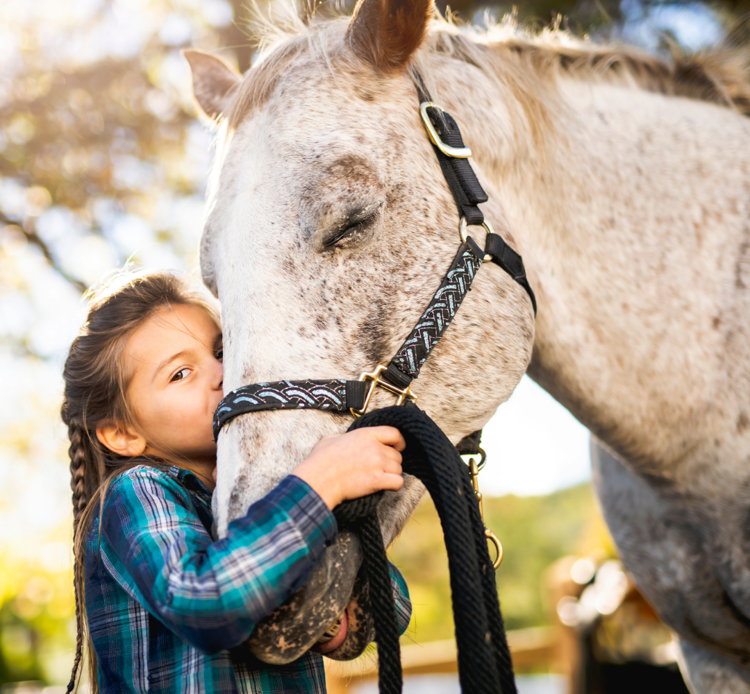 Gut health for horses, 3 herbs for soothing relief.