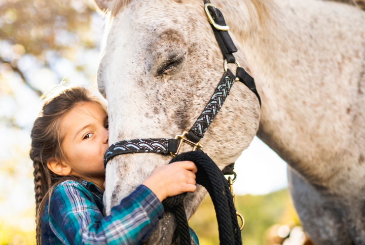 Gut health for horses, 3 herbs for soothing relief.