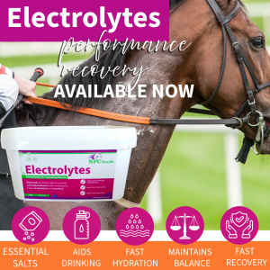 Buy electrolytes for New Zealand horses.