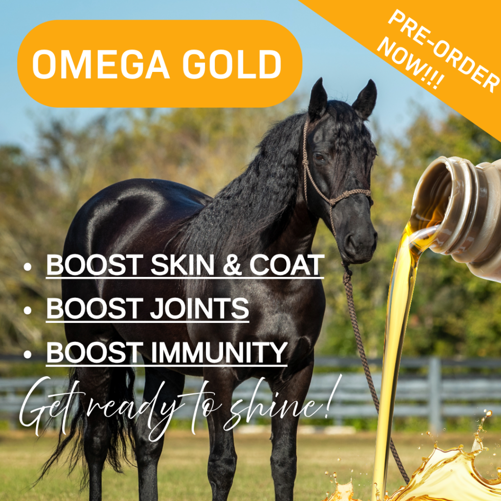 Omega Gold best omega 3 oil for horses.
