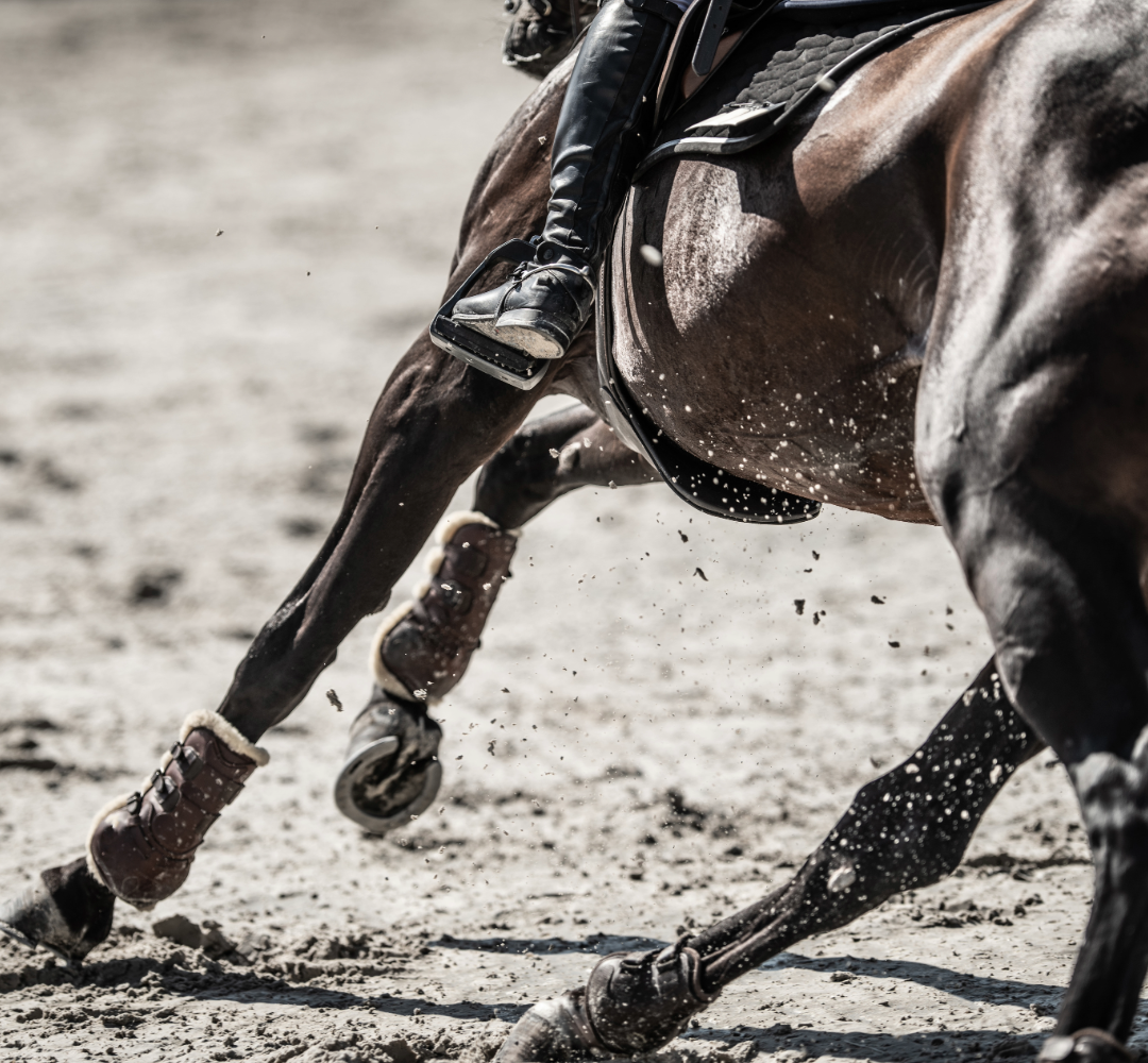 Best joint health supplement NZ for horses.