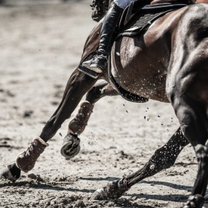 What are the best joint supplements for Horses in NZ