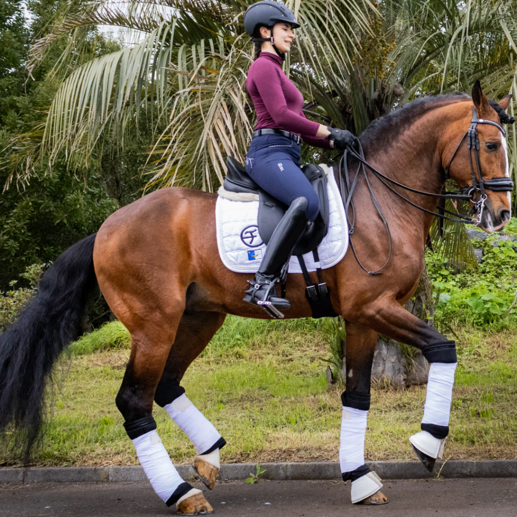 Horse dressage