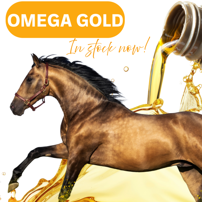 Omega GOLD | Best Omega oil for horses ***IN STOCK NOW!!!