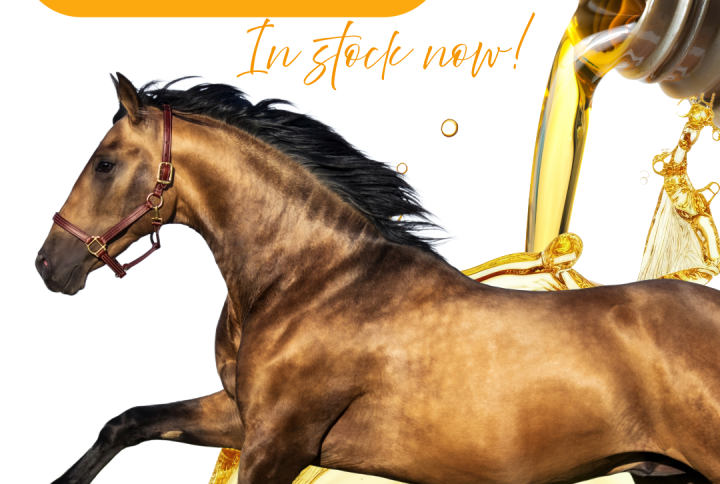 Best omega oil for horses omega gold.