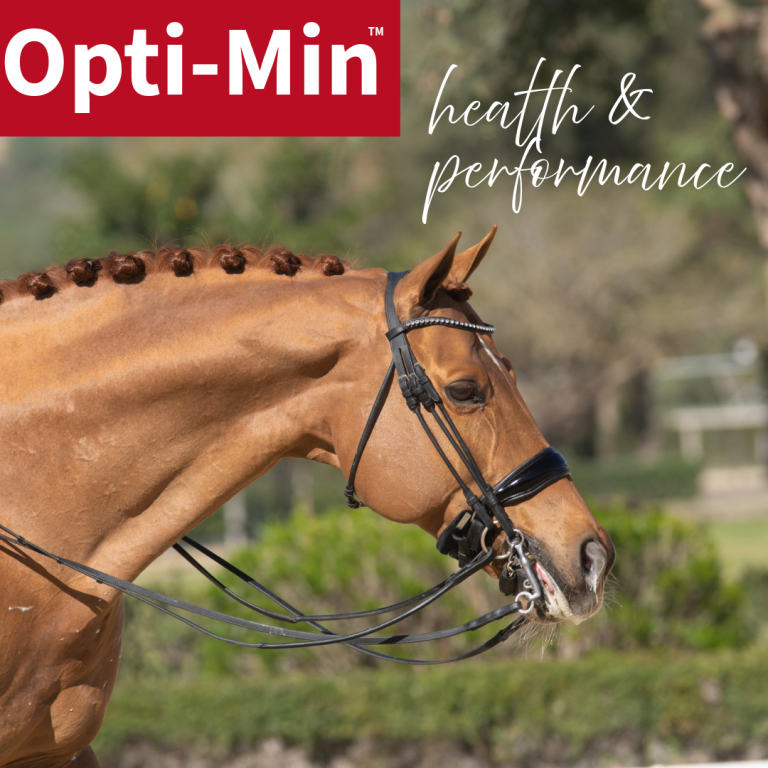 Optimin top horse minerals made in New Zealand