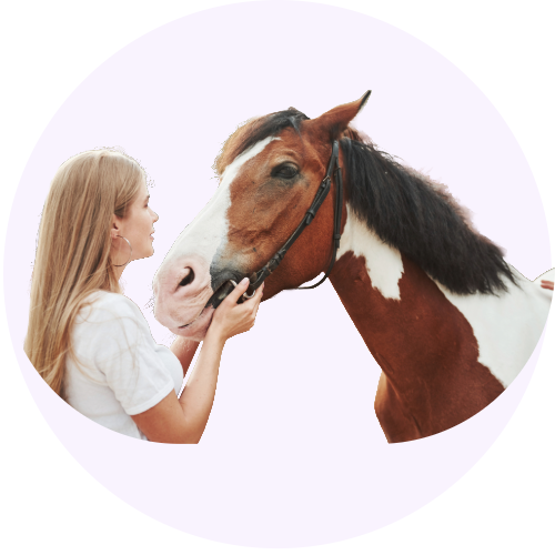 equine-calming-supplements