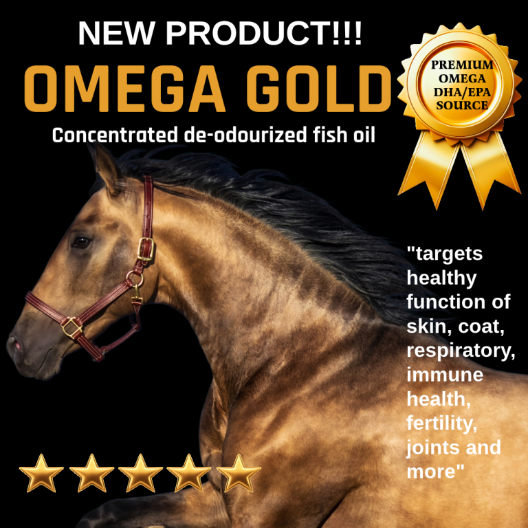 Omega gold - fish oil for horses the best omega 3 supplement for horses.