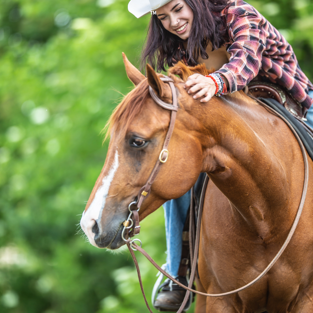equine-calming-supplements