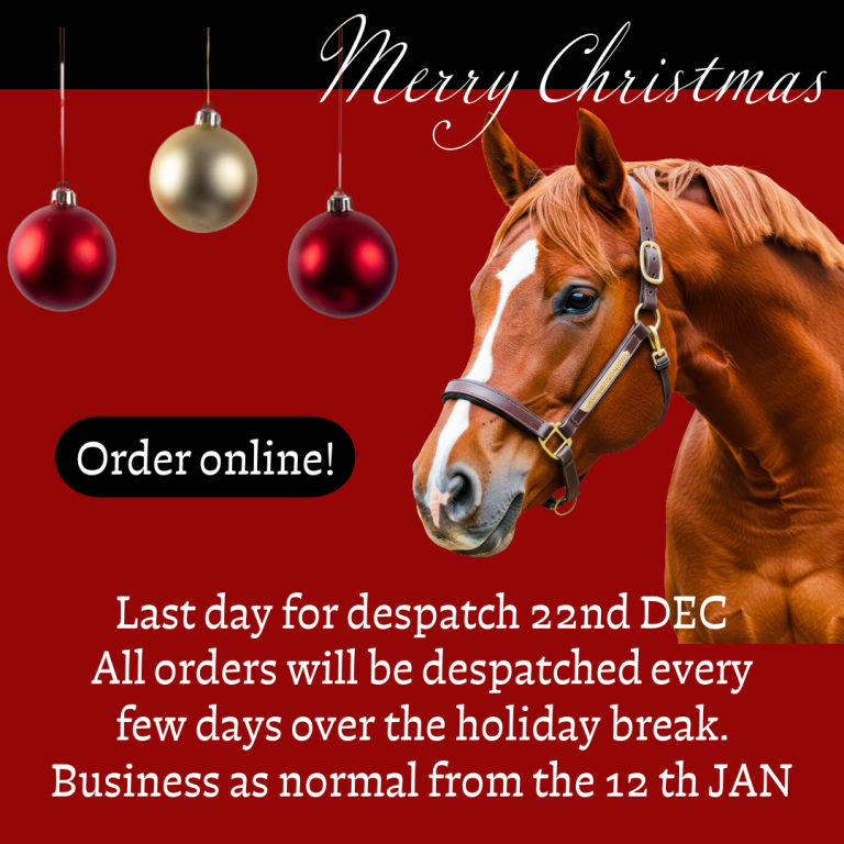 Merry Christmas from NPC Health.