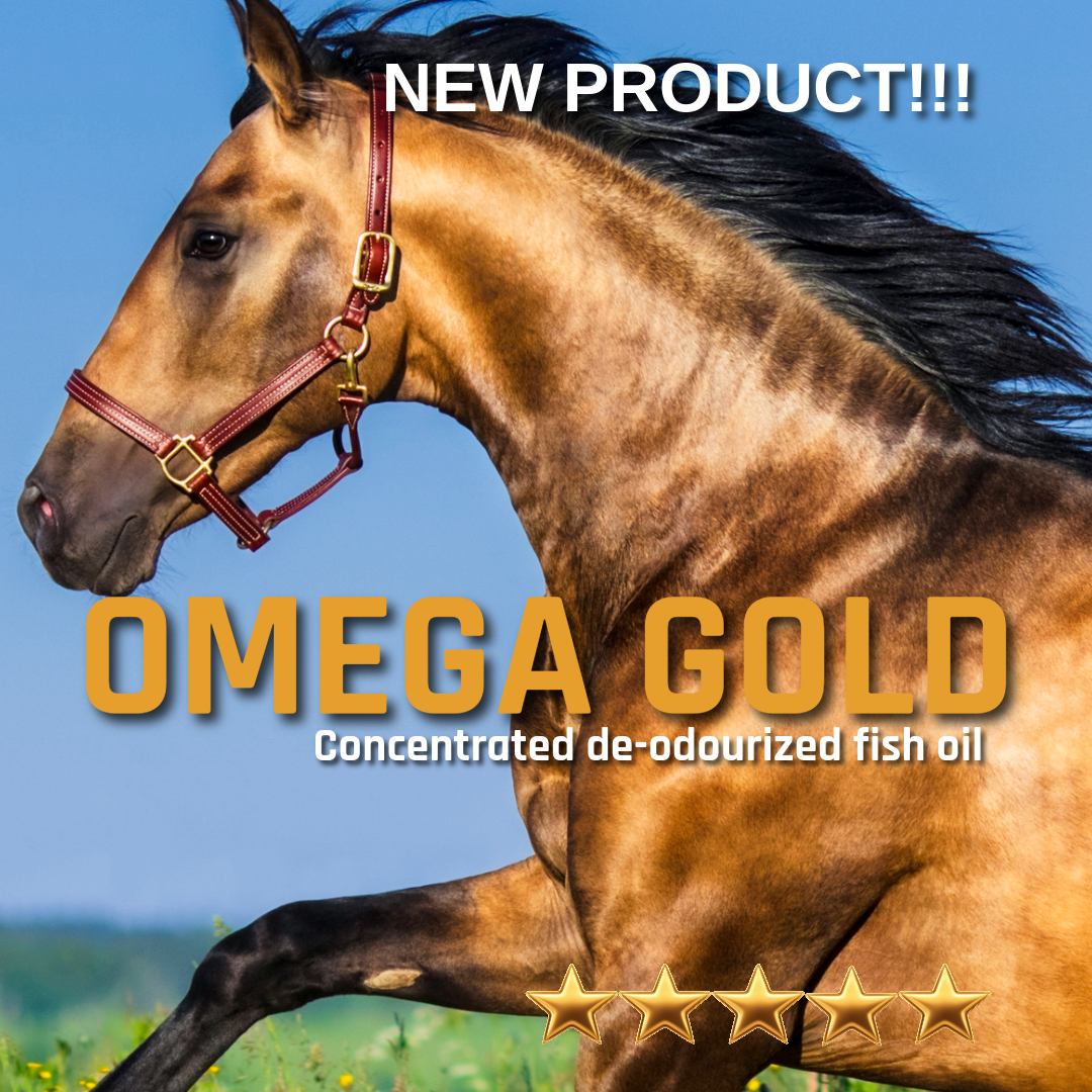 Omega gold premium fish oil for horses.