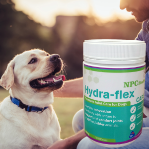 Best joint supplement for dogs in NZ that are stiff or struggle with mobility with science backed collagen to regenerate damaged cartilage.