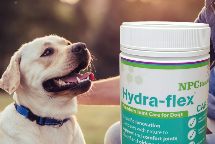 Best joint supplement for dogs in NZ that are stiff or struggle with mobility with science backed collagen to regenerate damaged cartilage.