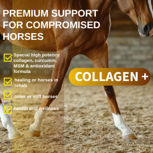 Collagen for horses offering premium support and herbal bute support.