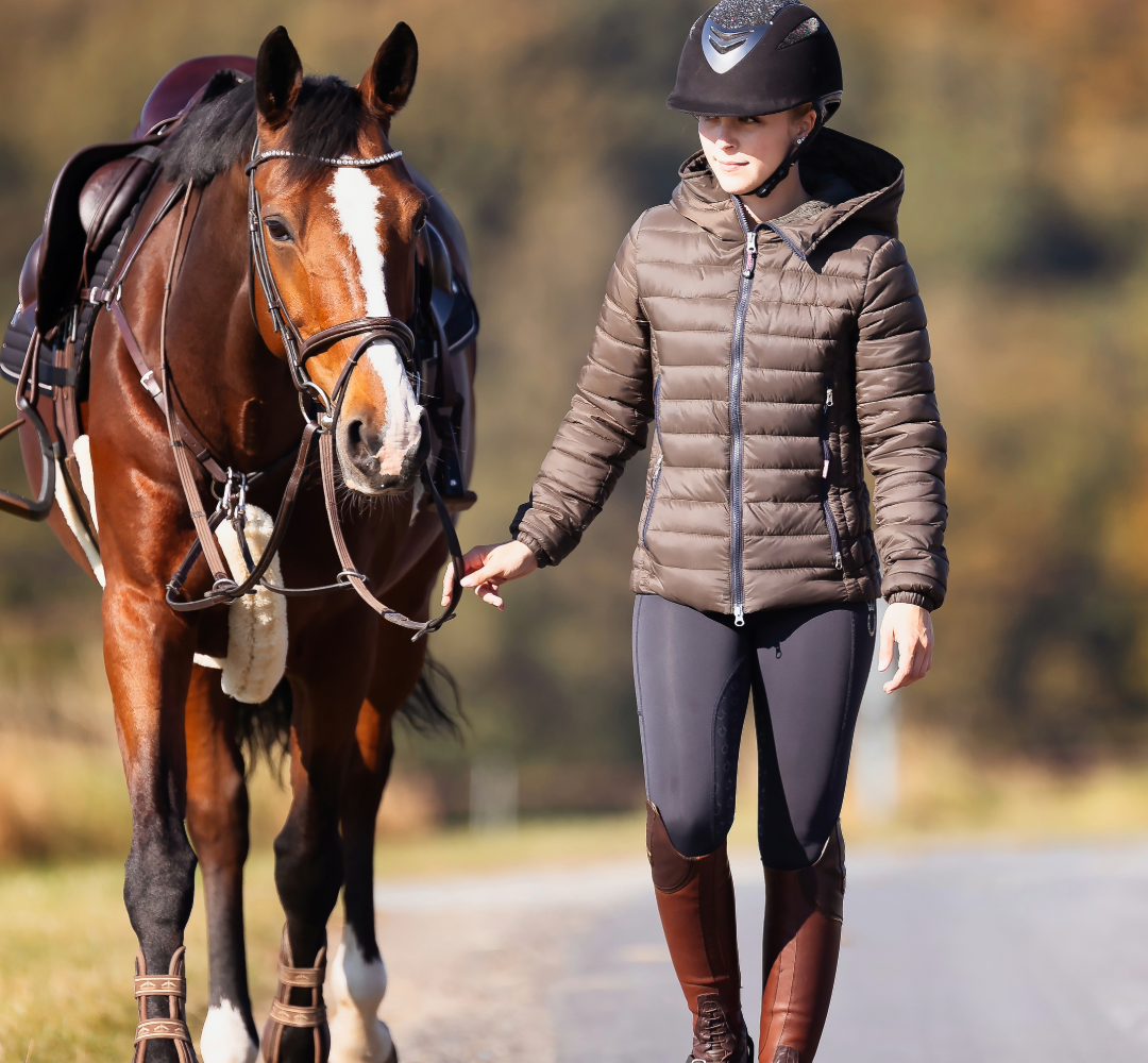 Where to buy horse supplies in NZ.