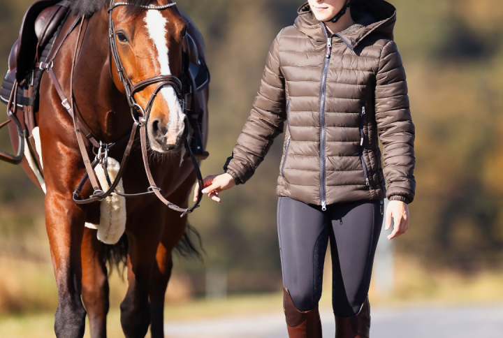 Where to Buy Horse Supplies in NZ