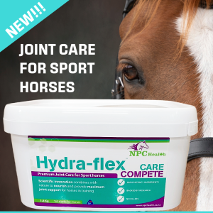 Joint care for horses.