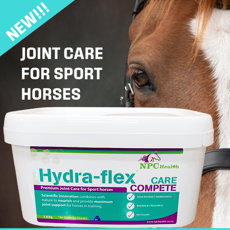 Joint care for horses.