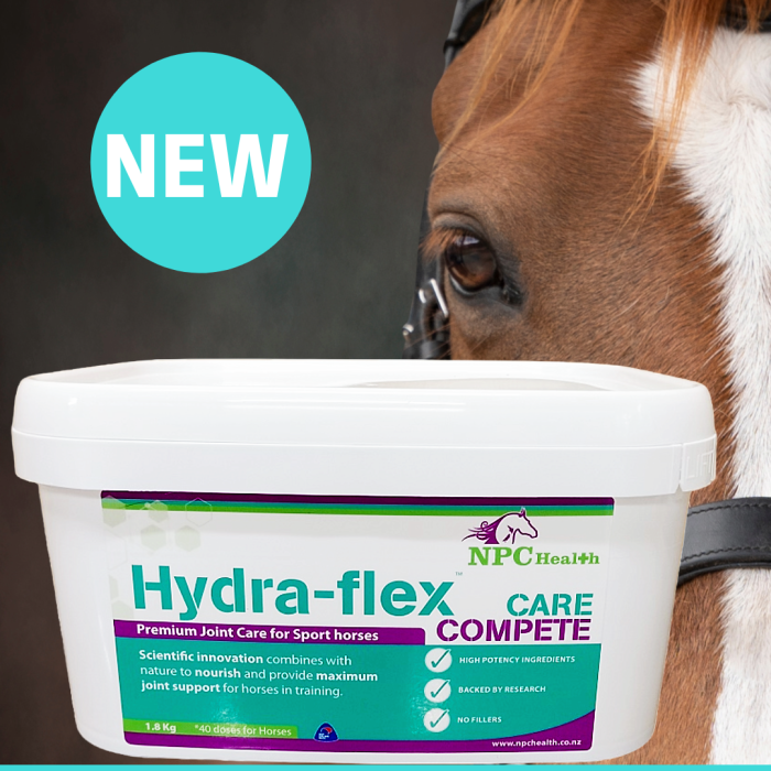 Hydra-flex CARE & COMPETE | Joint care for sport and competition horses NEW!!!