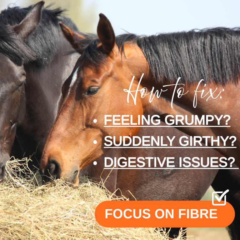 Fibre For Horses To Settle Digestive Upsets, Girth Issues And Feeling Grumpy.